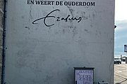 IMG_0228.jpg