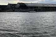 IMG_0262.jpg