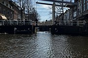 IMG_0290.jpg