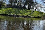 IMG_0313.jpg