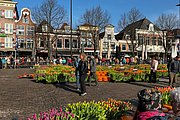 IMG_0328.jpg