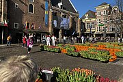 IMG_0331.jpg