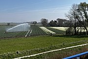 IMG_0351.jpg
