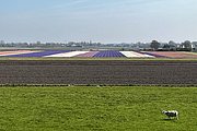 IMG_0354.jpg