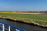 IMG_0366.jpg