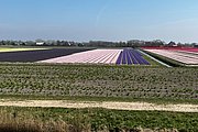 IMG_0374.jpg