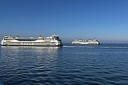 IMG_0388.jpg