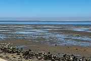 IMG_0399.jpg