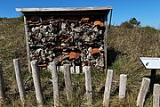 IMG_0403.jpg