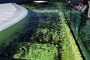 IMG_0405.jpg