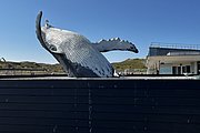 IMG_0414.jpg