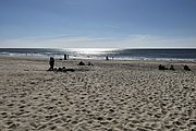 IMG_0419.jpg
