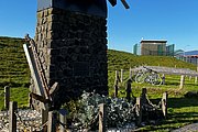 IMG_0422.jpg