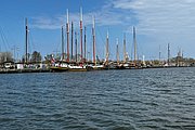 IMG_0443.jpg