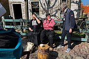 IMG_0451.jpg