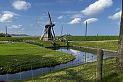 IMG_0456.jpg