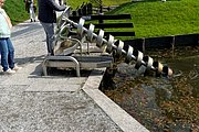 IMG_0458.jpg