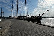 IMG_0466.jpg