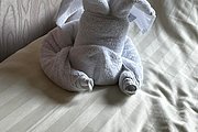 IMG_0495.jpg