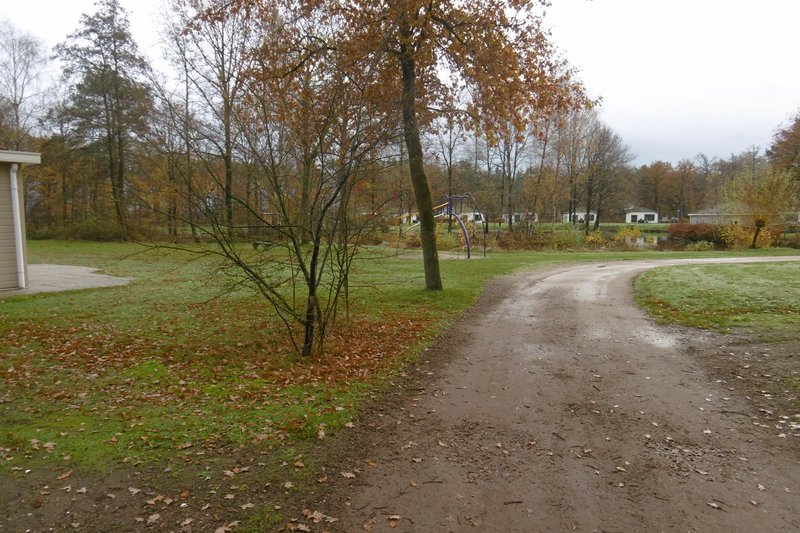 P1000714.JPG
