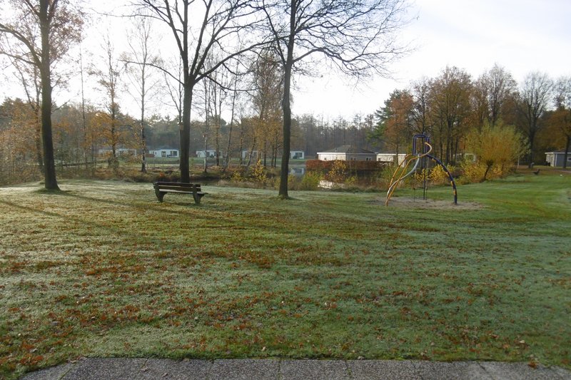 P1000722.JPG
