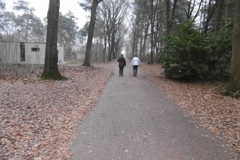 P1000732.JPG