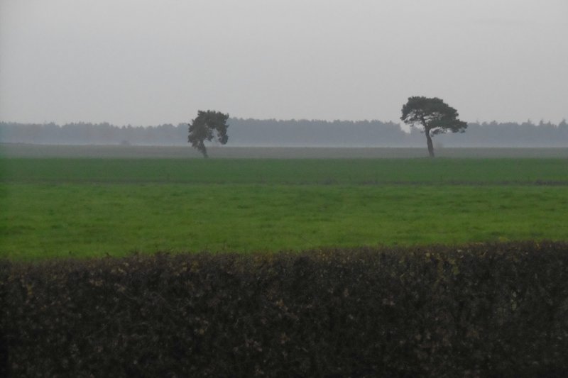 P1000736.JPG