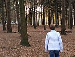 IMG_4031.JPG