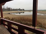 IMG_4035.JPG
