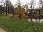 IMG_4044.JPG