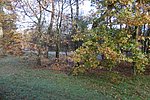 P1000718.JPG