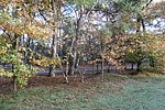 P1000719.JPG