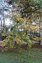 P1000720.JPG