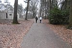 P1000732.JPG