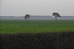 P1000736.JPG