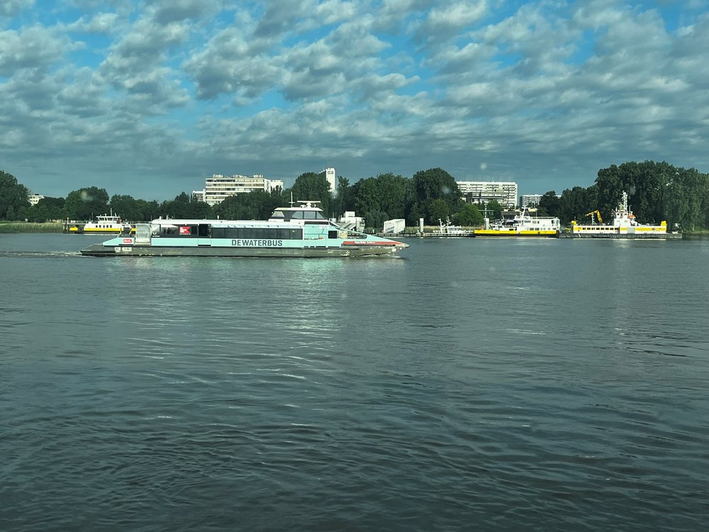 IMG_1511.jpg