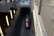 IMG_1515.jpg