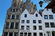 IMG_1519.jpg