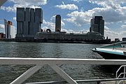 IMG_1339.jpg
