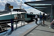 IMG_1340.jpg