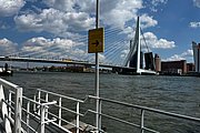 IMG_1341.jpg
