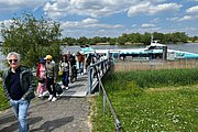 IMG_1343.jpg