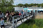 IMG_1344.jpg
