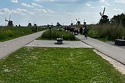 IMG_1350.jpg
