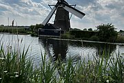 IMG_1353.jpg