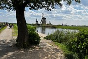 IMG_1354.jpg
