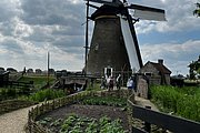 IMG_1356.jpg