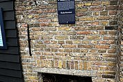 IMG_1358.jpg