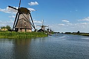 IMG_1364.jpg