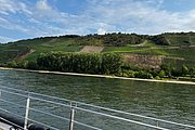 IMG_0798.jpg